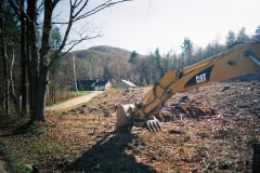 Forest Management and Land Clearing
