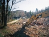 Forest Management and Land Clearing