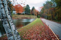 Pond Construction